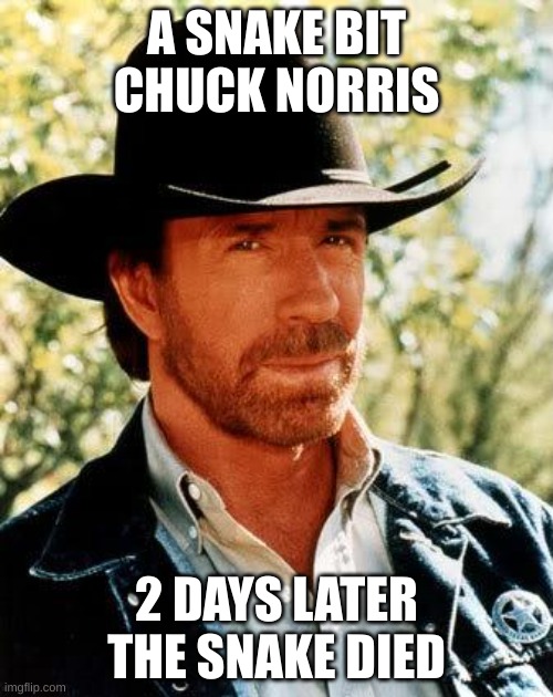 chuck norris meme | A SNAKE BIT CHUCK NORRIS; 2 DAYS LATER THE SNAKE DIED | image tagged in memes,chuck norris | made w/ Imgflip meme maker