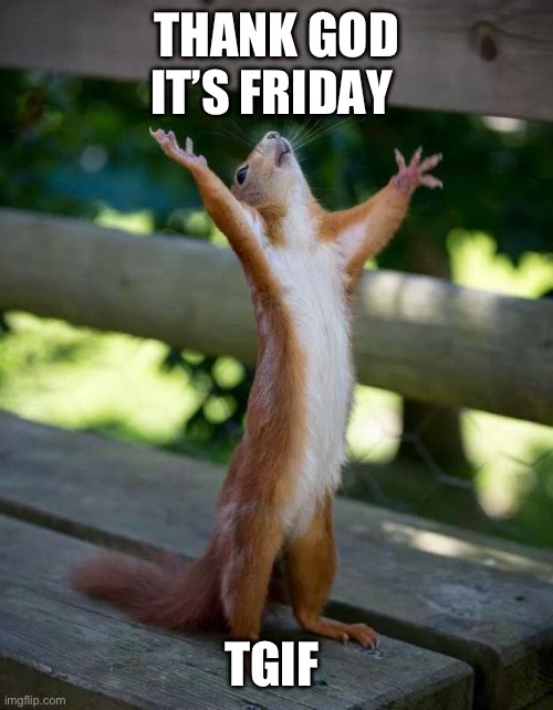 Thank God It’s Friday TGIF | THANK GOD IT’S FRIDAY; TGIF | image tagged in happy squirrel | made w/ Imgflip meme maker