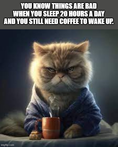 meme by Brad cat needs coffee to wake up | YOU KNOW THINGS ARE BAD WHEN YOU SLEEP 20 HOURS A DAY AND YOU STILL NEED COFFEE TO WAKE UP. | image tagged in cats,funny,coffee addict,funny meme,humor,funny cats | made w/ Imgflip meme maker