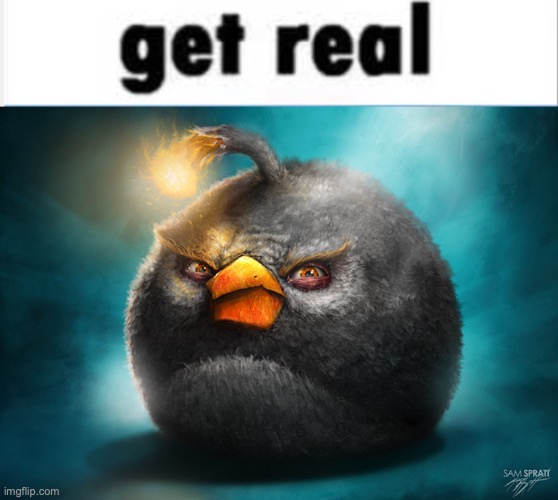 image tagged in realistic bomb angry bird | made w/ Imgflip meme maker