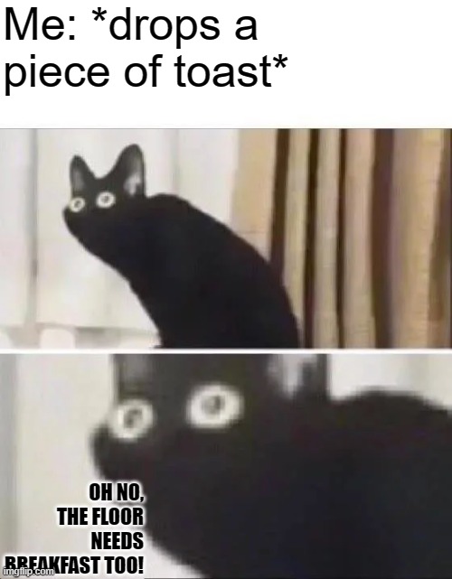 OH NO Breakfeast | Me: *drops a piece of toast*; OH NO, THE FLOOR NEEDS BREAKFAST TOO! | image tagged in oh no black cat | made w/ Imgflip meme maker