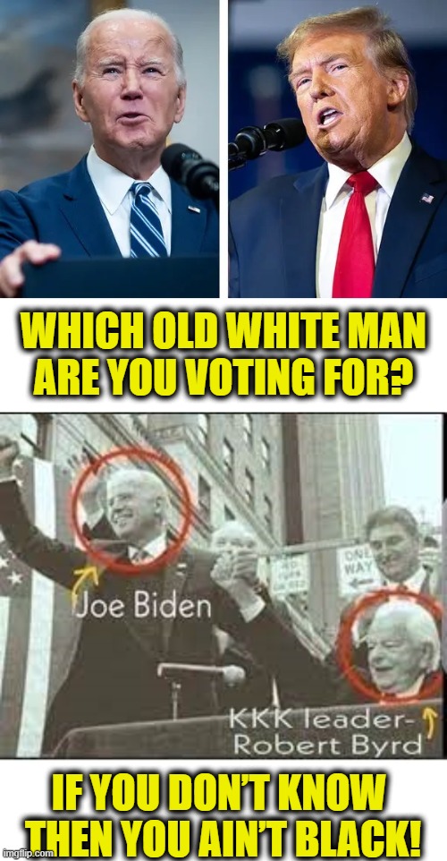 Time to leave the plantation | WHICH OLD WHITE MAN
ARE YOU VOTING FOR? IF YOU DON’T KNOW
 THEN YOU AIN’T BLACK! | image tagged in joe biden | made w/ Imgflip meme maker