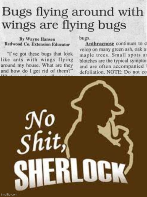 Stupid news chapter 10 | image tagged in no shit sherlock,stupid news,you had one job | made w/ Imgflip meme maker