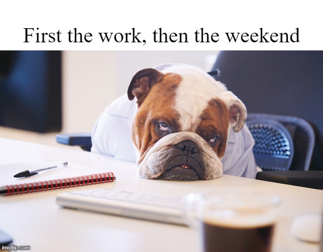 Friday | First the work, then the weekend | image tagged in dogs,funny dog memes,funny memes,friday | made w/ Imgflip meme maker