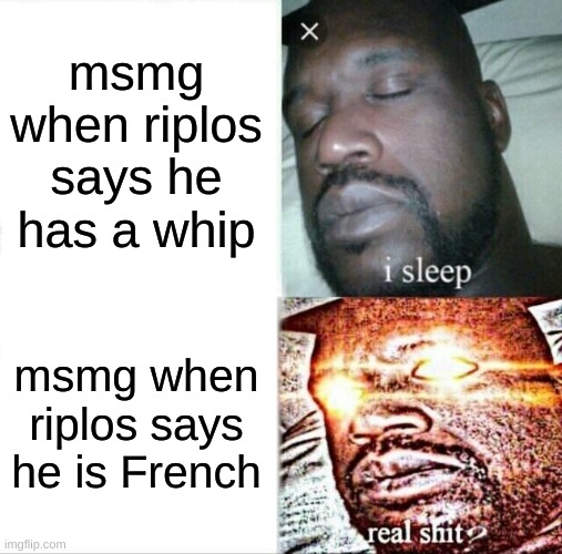 you guys have no care whatsoever | msmg when riplos says he has a whip; msmg when riplos says he is French | image tagged in memes,sleeping shaq | made w/ Imgflip meme maker