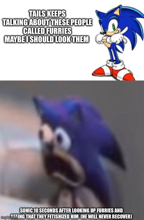 He will never recover :( | TAILS KEEPS TALKING ABOUT THESE PEOPLE CALLED FURRIES MAYBE I SHOULD LOOK THEM; SONIC 10 SECONDS AFTER LOOKING UP FURRIES AND SEEING THAT THEY FETISHIZED HIM  (HE WILL NEVER RECOVER) | image tagged in traumatised sonic | made w/ Imgflip meme maker
