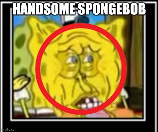 Insane | HANDSOME SPONGEBOB | image tagged in fun,spongebob | made w/ Imgflip meme maker