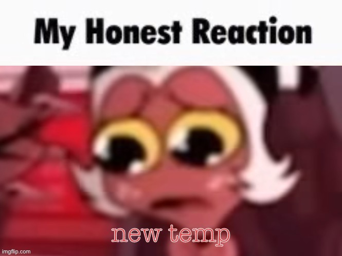 my honest reaction | new temp | image tagged in my honest reaction | made w/ Imgflip meme maker