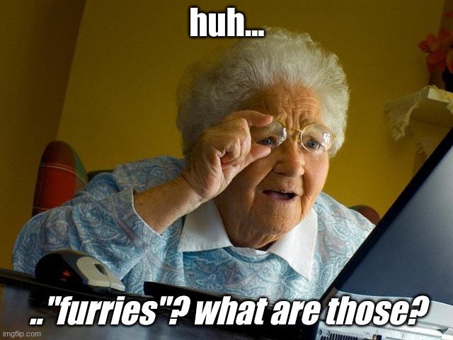 grandma dont do it | huh... .."furries"? what are those? | image tagged in memes,grandma finds the internet | made w/ Imgflip meme maker