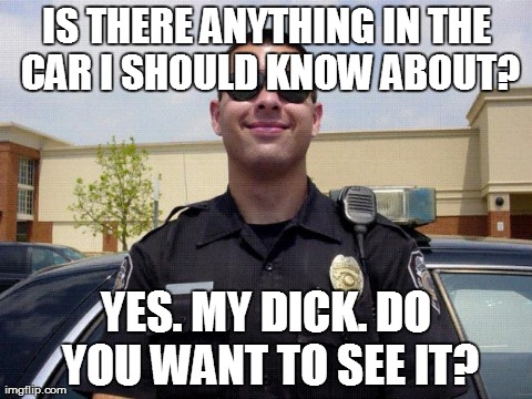 copper | IS THERE ANYTHING IN THE CAR I SHOULD KNOW ABOUT? YES. MY DICK. DO YOU WANT TO SEE IT? | image tagged in copper,AdviceAnimals | made w/ Imgflip meme maker