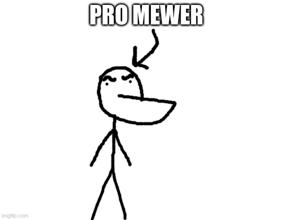 PRO MEWER | made w/ Imgflip meme maker