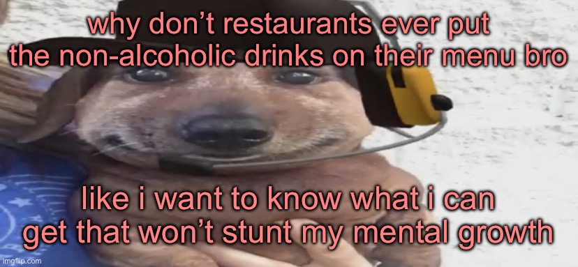 chucklenuts | why don’t restaurants ever put the non-alcoholic drinks on their menu bro; like i want to know what i can get that won’t stunt my mental growth | image tagged in chucklenuts | made w/ Imgflip meme maker