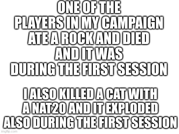 yes | ONE OF THE PLAYERS IN MY CAMPAIGN ATE A ROCK AND DIED
AND IT WAS DURING THE FIRST SESSION; I ALSO KILLED A CAT WITH A NAT20 AND IT EXPLODED
ALSO DURING THE FIRST SESSION | image tagged in dnd,dungeons and dragons | made w/ Imgflip meme maker