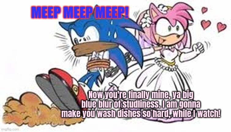 Married life... | MEEP MEEP MEEP! Now you're finally mine, ya big blue blur of studliness. I am gonna make you wash dishes so hard, while I watch! | image tagged in marriage,sonic the hedgehog,amy rose,he thought he was gonna,get laid,lol | made w/ Imgflip meme maker