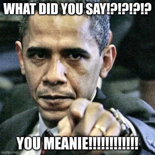Pissed Off Obama Meme | WHAT DID YOU SAY!?!?!?!? YOU MEANIE!!!!!!!!!!!! | image tagged in memes,pissed off obama | made w/ Imgflip meme maker