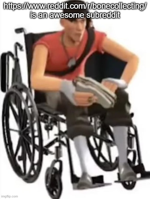 Scout but in a wheelchair | https://www.reddit.com/r/bonecollecting/ is an awesome subreddit | image tagged in scout but in a wheelchair | made w/ Imgflip meme maker
