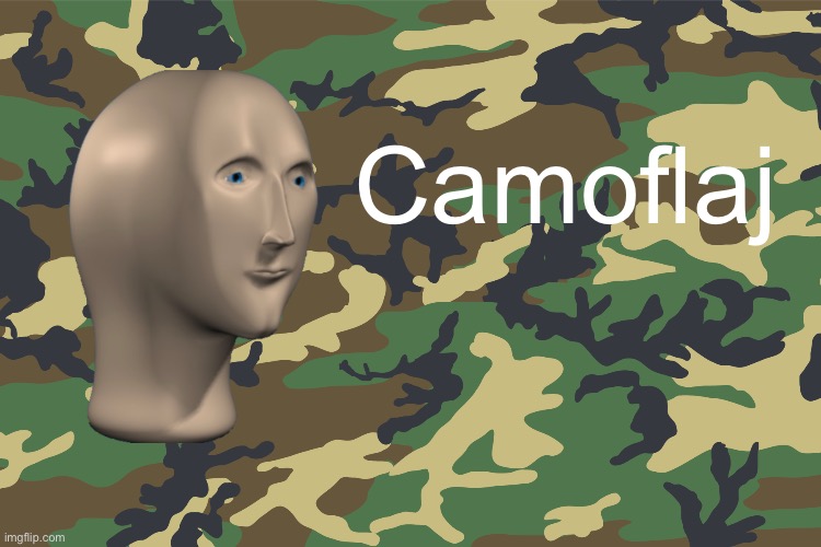 Camouflage | Camoflaj | image tagged in camouflage | made w/ Imgflip meme maker