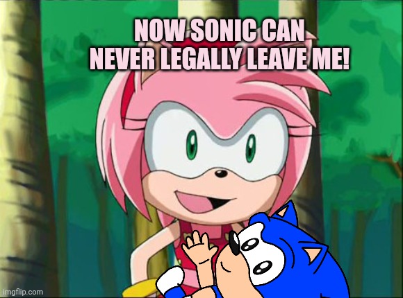 Amy Rose Swimsuit | NOW SONIC CAN NEVER LEGALLY LEAVE ME! | image tagged in amy rose swimsuit | made w/ Imgflip meme maker