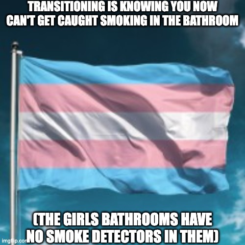 Trans Flag | TRANSITIONING IS KNOWING YOU NOW CAN'T GET CAUGHT SMOKING IN THE BATHROOM; (THE GIRLS BATHROOMS HAVE NO SMOKE DETECTORS IN THEM) | image tagged in trans flag,trans,transgender,lgbt,smoking,bathroom | made w/ Imgflip meme maker