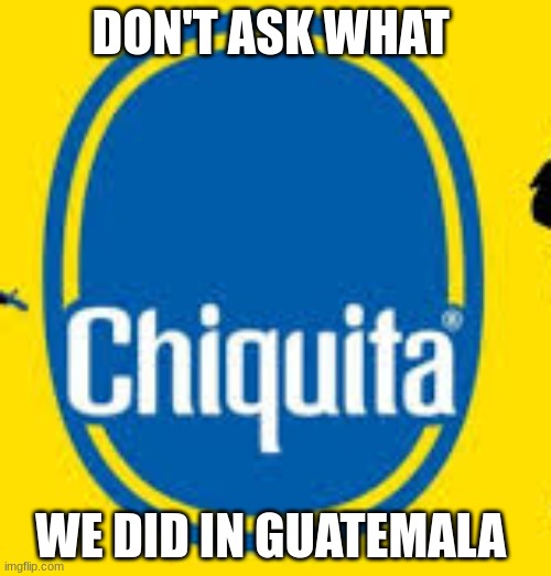 ??? | DON'T ASK WHAT; WE DID IN GUATEMALA | image tagged in history memes,funny memes | made w/ Imgflip meme maker