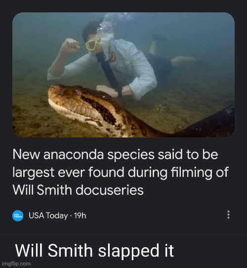 Will Smith docuseries | image tagged in fun,will smith | made w/ Imgflip meme maker