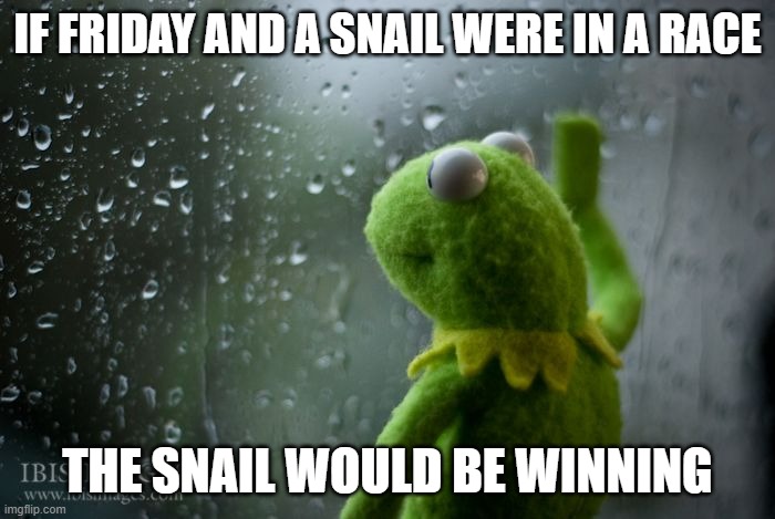If Friday and a snail were in a race | IF FRIDAY AND A SNAIL WERE IN A RACE; THE SNAIL WOULD BE WINNING | image tagged in kermit window,friday,work,snail | made w/ Imgflip meme maker