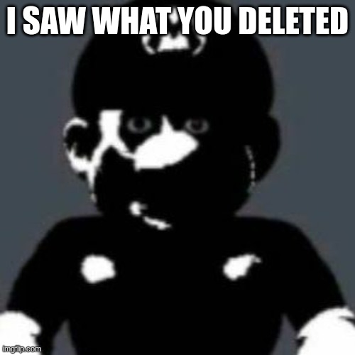 Mario is coming for you | I SAW WHAT YOU DELETED | image tagged in unoriginal | made w/ Imgflip meme maker