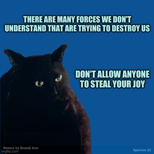 Contemplate Cat | THERE ARE MANY FORCES WE DON'T UNDERSTAND THAT ARE TRYING TO DESTROY US; DON'T ALLOW ANYONE TO STEAL YOUR JOY | image tagged in contemplate cat,cat,joy,good vibes,love yourself,no | made w/ Imgflip meme maker