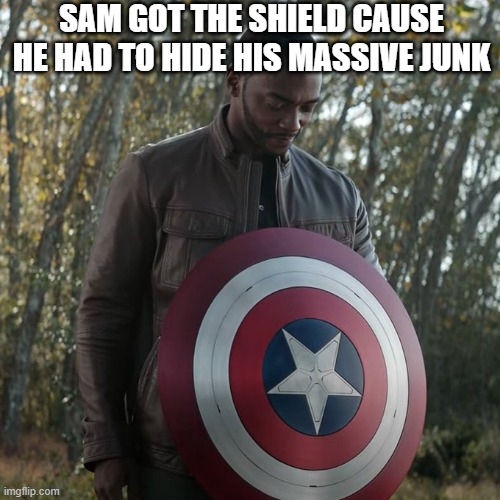 Junk Block | SAM GOT THE SHIELD CAUSE HE HAD TO HIDE HIS MASSIVE JUNK | image tagged in captain america | made w/ Imgflip meme maker