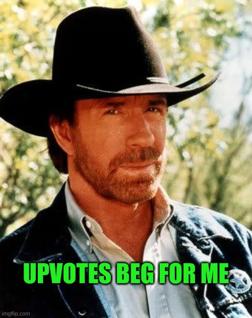 Chuck Norris Meme | UPVOTES BEG FOR ME | image tagged in chuck norris,upvotes,meanwhile on imgflip,upvote begging,what if i told you,the more you know | made w/ Imgflip meme maker