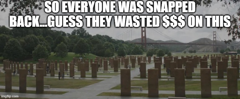Snap Memorial | SO EVERYONE WAS SNAPPED BACK...GUESS THEY WASTED $$$ ON THIS | image tagged in avengers endgame | made w/ Imgflip meme maker