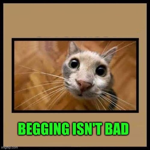Cat and Coffee | BEGGING ISN'T BAD | image tagged in cat and coffee | made w/ Imgflip meme maker