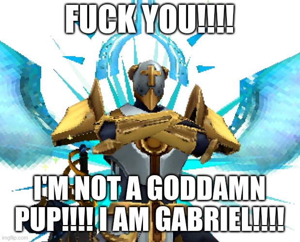 Gabriel Ultrakill | FUCK YOU!!!! I'M NOT A GODDAMN PUP!!!! I AM GABRIEL!!!! | image tagged in gabriel ultrakill | made w/ Imgflip meme maker