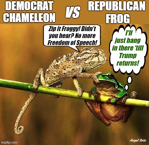 democrat chameleon vs republican frog | DEMOCRAT
 CHAMELEON; REPUBLICAN
 FROG; VS; Zip it Froggy! Didn't
you hear? No more
Freedom of Speech! I'll
just hang
in there 'till
Trump
returns! Angel Soto | image tagged in democrats,republicans,elections,frog,chameleon,freedom of speech | made w/ Imgflip meme maker