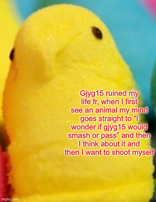 Majik Peeps | Gjyg15 ruined my life fr, when I first see an animal my mind goes straight to “I wonder if gjyg15 would smash or pass” and then I think about it and then I want to shoot myself | image tagged in majik peeps | made w/ Imgflip meme maker