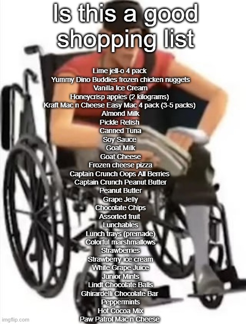 Scout but in a wheelchair | Is this a good shopping list; Lime jell-o 4 pack 
Yummy Dino Buddies frozen chicken nuggets
Vanilla Ice Cream
Honeycrisp apples (2 kilograms) 
Kraft Mac n Cheese Easy Mac 4 pack (3-5 packs) 
Almond Milk
Pickle Relish 
Canned Tuna
Soy Sauce 
Goat Milk
Goat Cheese
Frozen cheese pizza
Captain Crunch Oops All Berries 
Captain Crunch Peanut Butter
Peanut Butter
Grape Jelly
Chocolate Chips
Assorted fruit 
Lunchables
Lunch trays (premade)
Colorful marshmallows
Strawberries
Strawberry ice cream
White Grape Juice
Junior Mints
Lindt Chocolate Balls
Ghirardelli Chocolate Bar 
Peppermints
Hot Cocoa Mix
Paw Patrol Mac n Cheese | image tagged in scout but in a wheelchair | made w/ Imgflip meme maker