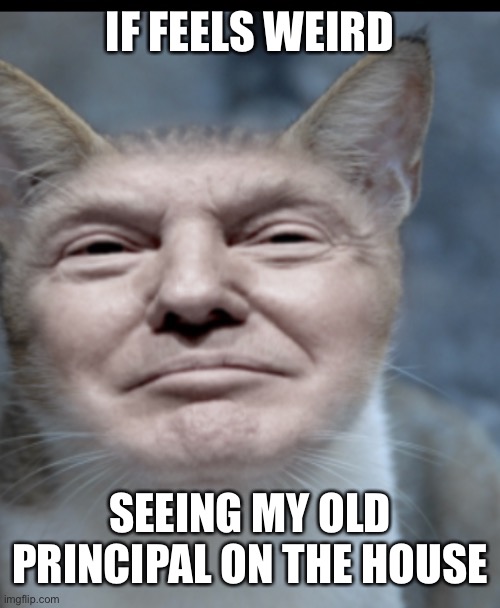 Donald trump cat | IF FEELS WEIRD; SEEING MY OLD PRINCIPAL ON THE HOUSE | image tagged in donald trump cat | made w/ Imgflip meme maker