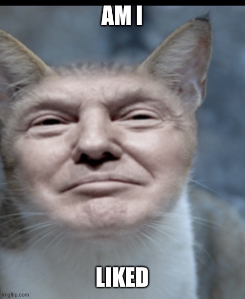 Donald trump cat | AM I; LIKED | image tagged in donald trump cat | made w/ Imgflip meme maker