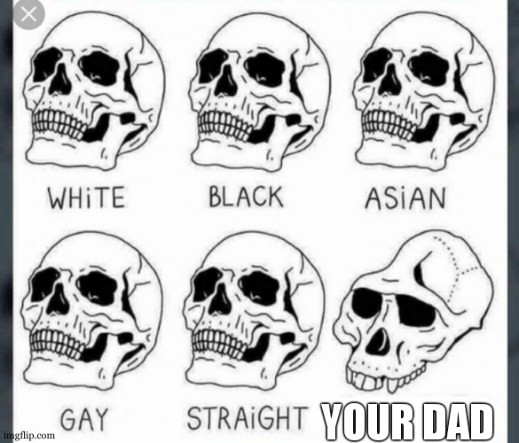 White Black Asian Gay Straight skull template | YOUR DAD | image tagged in white black asian gay straight skull template | made w/ Imgflip meme maker