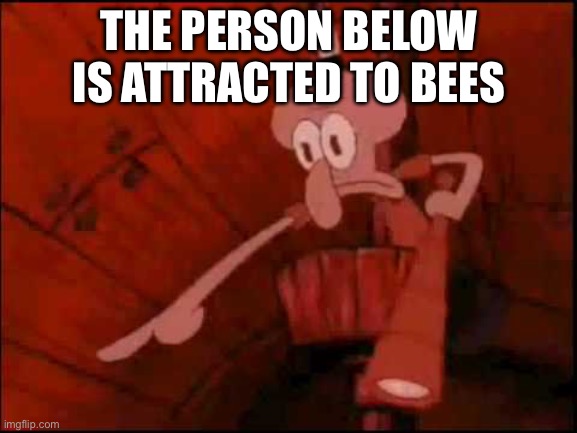Squidward pointing | THE PERSON BELOW IS ATTRACTED TO BEES | image tagged in squidward pointing | made w/ Imgflip meme maker