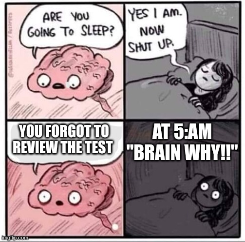 bruh | AT 5:AM "BRAIN WHY!!"; YOU FORGOT TO REVIEW THE TEST | image tagged in are you going to sleep | made w/ Imgflip meme maker