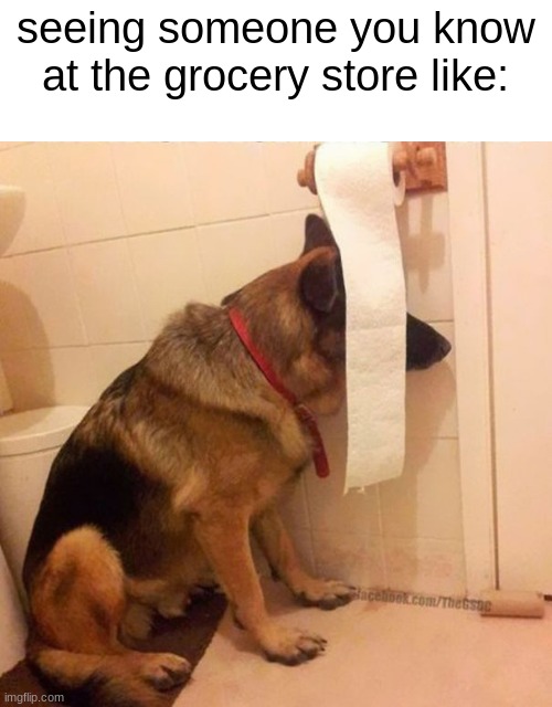 "please dont look at me" | seeing someone you know at the grocery store like: | image tagged in ninja dog hides behind toilet paper,hiding,introvert,grocery store,people | made w/ Imgflip meme maker