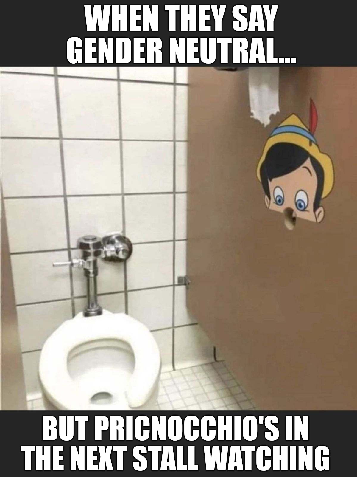 Bathroom safe Zone | WHEN THEY SAY GENDER NEUTRAL... BUT PRICNOCCHIO'S IN THE NEXT STALL WATCHING | image tagged in pinocchi-hole | made w/ Imgflip meme maker