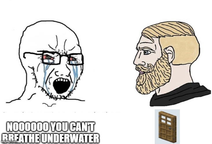 not sure if this still works on newer versions or bedrock edition | NOOOOOO YOU CAN'T BREATHE UNDERWATER | image tagged in soyboy vs yes chad,minecraft door,tricks | made w/ Imgflip meme maker