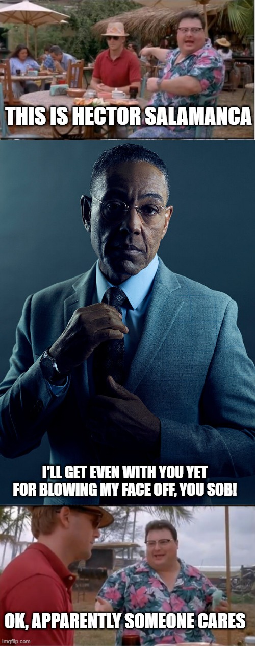 well somebody cares | THIS IS HECTOR SALAMANCA; I'LL GET EVEN WITH YOU YET FOR BLOWING MY FACE OFF, YOU SOB! OK, APPARENTLY SOMEONE CARES | image tagged in gus fring we are not the same | made w/ Imgflip meme maker