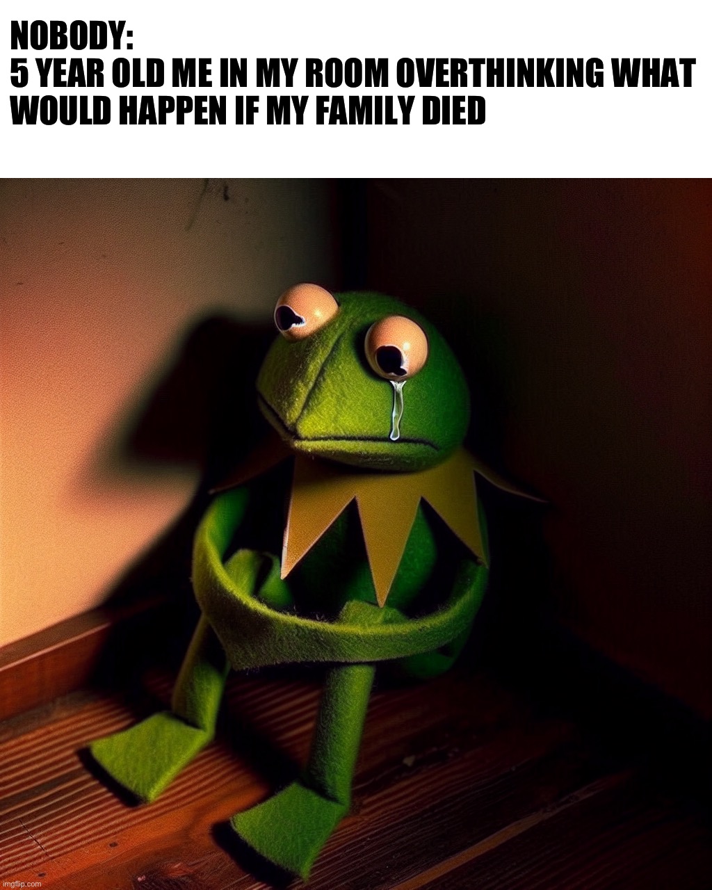 Kermit sad | NOBODY:
5 YEAR OLD ME IN MY ROOM OVERTHINKING WHAT WOULD HAPPEN IF MY FAMILY DIED | image tagged in kermit in the corner | made w/ Imgflip meme maker