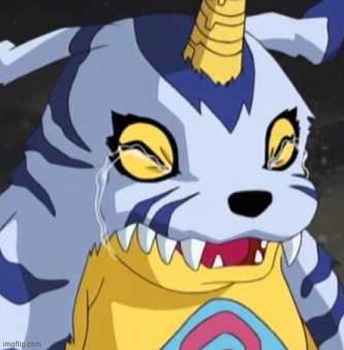 image tagged in gabumon crying | made w/ Imgflip meme maker