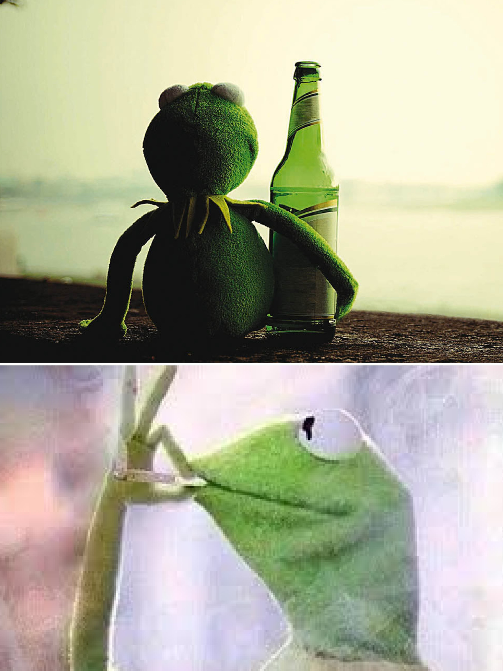 Kermit enjoint Blank Meme Template