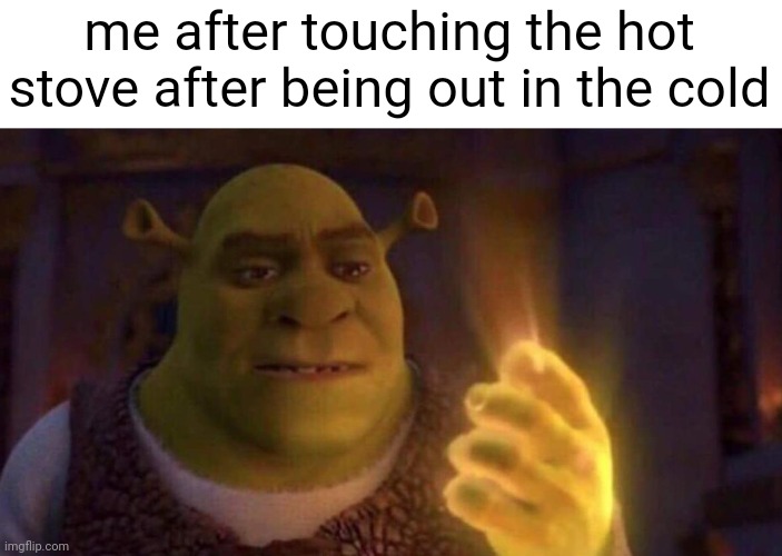 I don't have gloves | me after touching the hot stove after being out in the cold | image tagged in shrek glowing hand | made w/ Imgflip meme maker