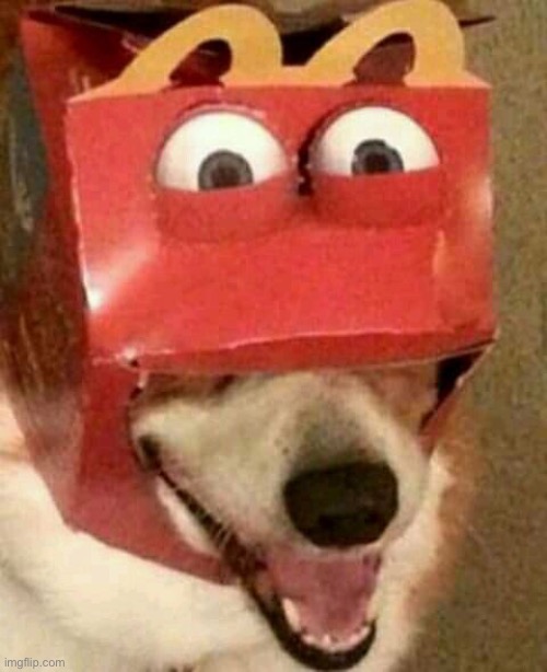 Happy meal dog | image tagged in happy meal dog | made w/ Imgflip meme maker